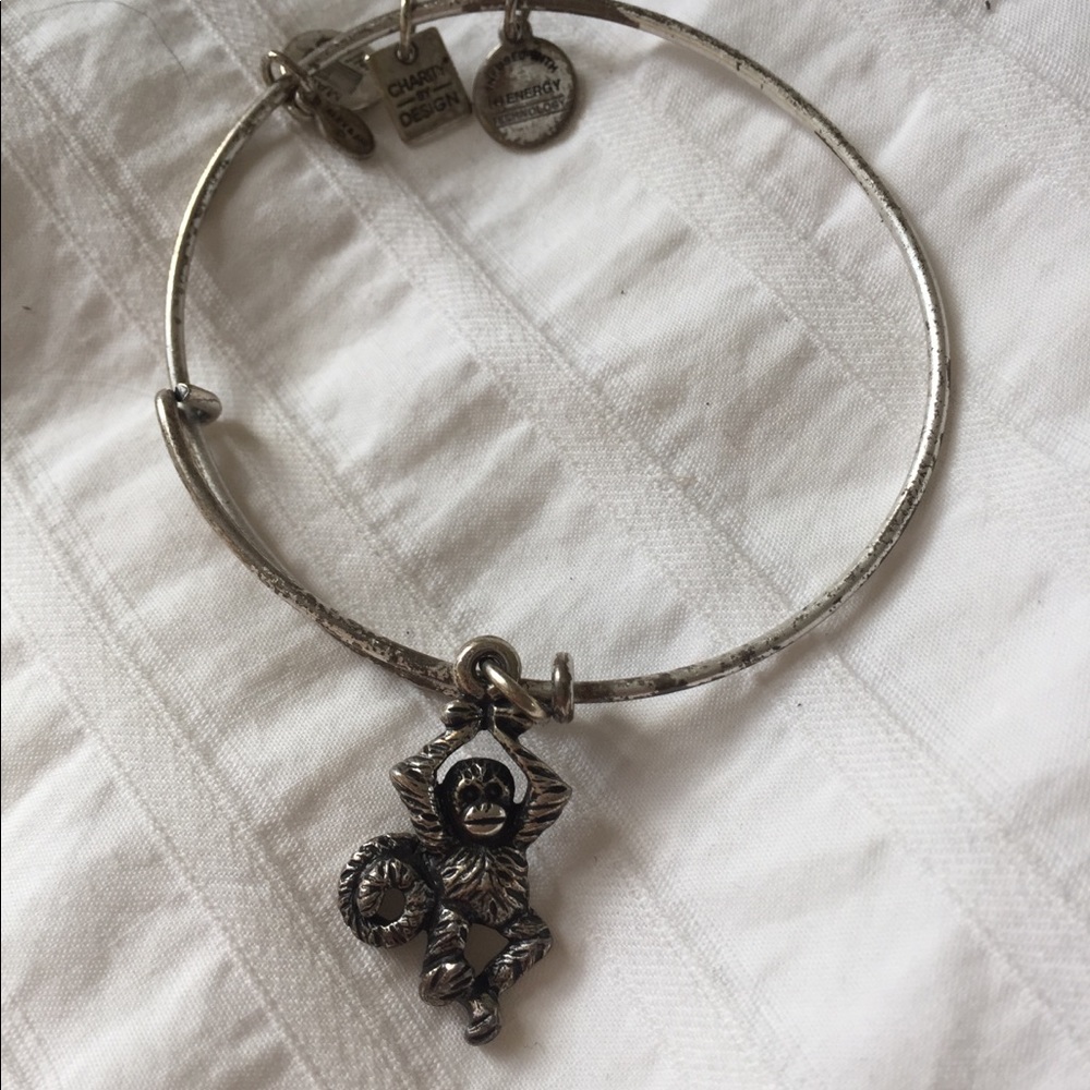 Alex+Ani bracelet